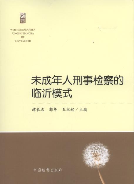 δ���������z����R��ģʽ