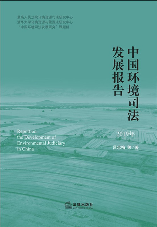 .�Ї��h��˾���lչ��棨2019�꣩